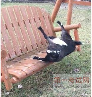 ɽű佩ʬ